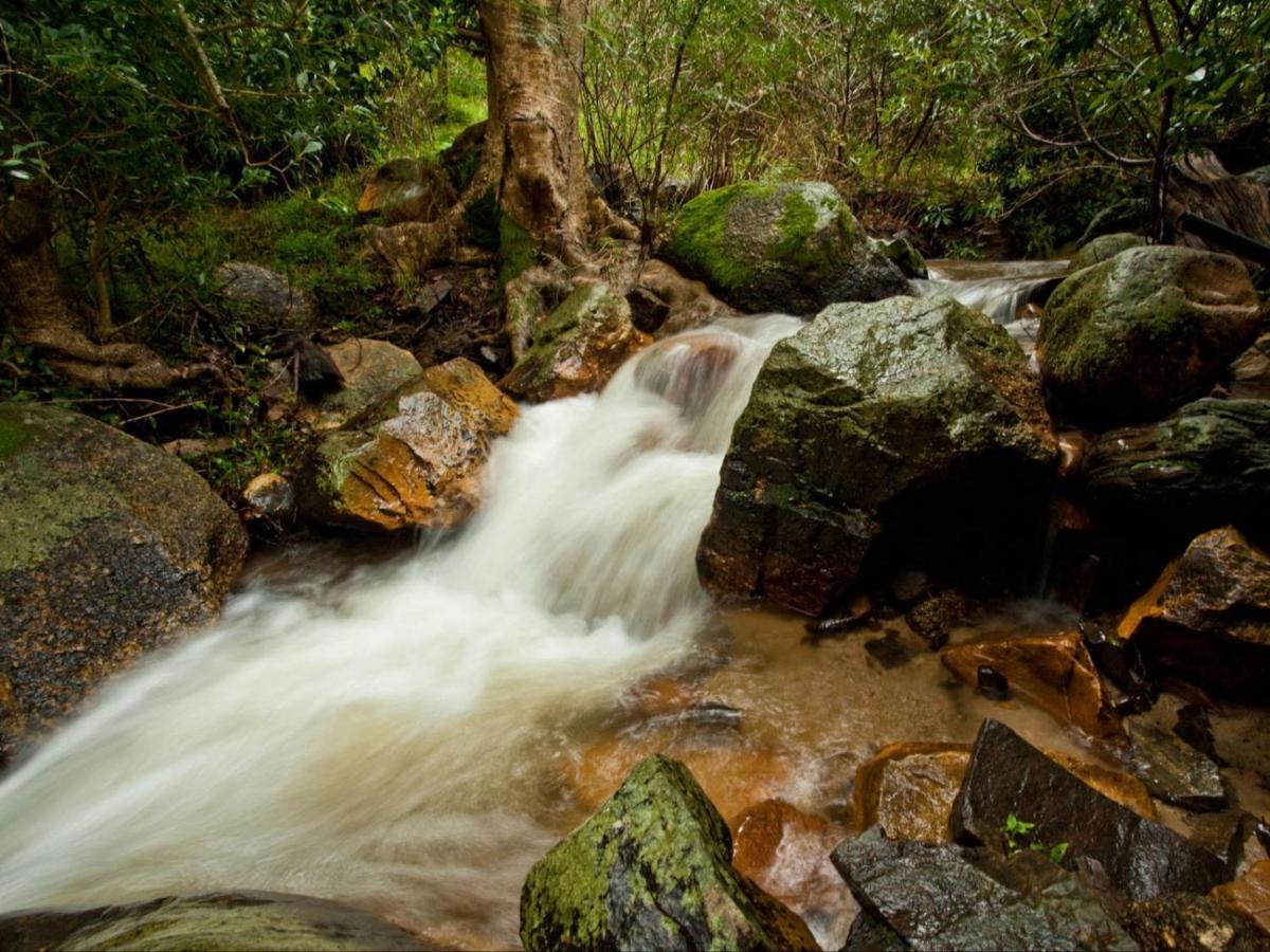 Retreat At Waterfall Valley Парл Екстериор снимка